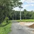  Land for sale in On Klang, Chiang Mai, On Klang