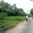  Land for sale in Khlong Hok, Pathum Thani, Khlong Hok, Khlong Luang, Pathum Thani, Thailand