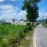  Land for sale in Bang Tao Beach, Choeng Thale, Choeng Thale