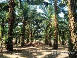  Land for sale in La-Un, Ranong, Bang Phra Nuea, La-Un