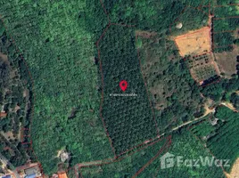  Terreno (Parcela) en venta en Thalang, Phuket, Thep Krasattri, Thalang