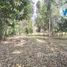 ขายที่ดิน ใน ชะมวง, พัทลุง, ชะมวง, ควนขนุน