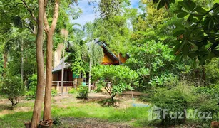 N/A Land for sale in Don Thong, Phitsanulok 