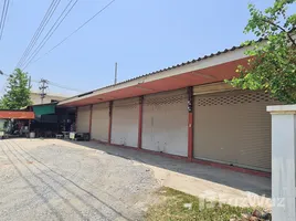 9 Schlafzimmer Einzelhandelsfläche zu verkaufen in Tha Wang Phrao, Chiang Mai, Tha Wang Phrao, San Pa Tong