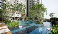 Фото 2 of the Communal Pool at The Trust Condo at BTS Erawan