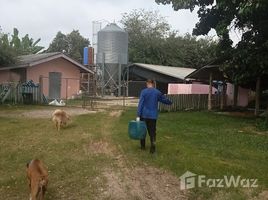 ขายที่ดิน ใน แม่ลาว, เชียงราย, แม่ลาว