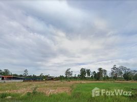 Land for sale in Si Sa Ket, Siao, Benchalak, Si Sa Ket