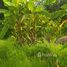  Land for sale in Bali, Kediri, Tabanan, Bali