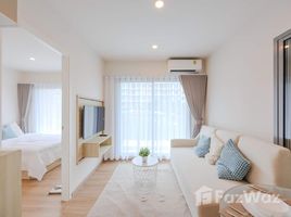 Phyll Phuket by Central Pattana で賃貸用の 1 ベッドルーム マンション, Wichit