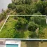  Land for sale in Ko Chang Trat, Ko Chang, Ko Chang, Trat