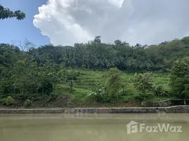  Terreno (Parcela) en venta en Yogyakarta, Kulon Progo, Yogyakarta