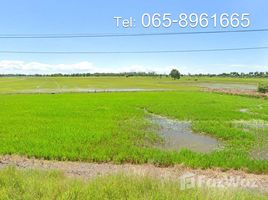  Земельный участок for sale in Таиланд, Don Thong, Sena, Phra Nakhon Si Ayutthaya, Таиланд