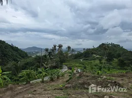 ขายที่ดิน ใน บ่อผุด, สุราษฎร์ธานี, บ่อผุด