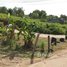  Land for sale in Phuket Town, Phuket, Rawai, Phuket Town