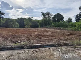 ขายที่ดิน ใน รัษฎา, ภูเก็ต, รัษฎา