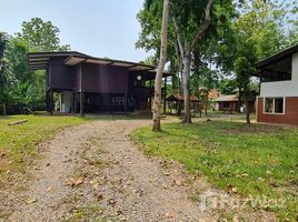 8 Bedroom House for sale in Chiang Mai, Nong Phueng, Saraphi, Chiang Mai
