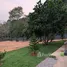 在清莱出售的3 卧室 屋, Tha Khao Plueak, Mae Chan, 清莱