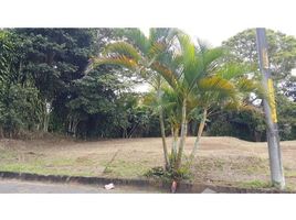  Terreno (Parcela) en venta en Naranjo, Alajuela, Naranjo