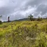 Terrain à vendre à Cosanga, Napo, Cosanga