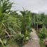  Land for sale in Khao Rup Chang, Songkhla, Khao Rup Chang, Mueang Songkhla, Songkhla