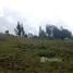  Land for sale in Cuenca Azuay, Cuenca, Cuenca, Azuay