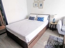 ขายคอนโด 1 ห้องนอน ในโครงการ เดอะ เบส เซ็นทรัล ภูเก็ต, วิชิต