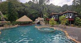 ยูนิตมือสองและให้เช่า