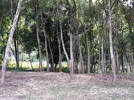  Land for sale in Surat Thani, Bo Phut, Koh Samui, Surat Thani