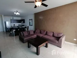 1 Bedroom Apartment for rent at P.H H2O AVENIDA BALBOA 12 E, La Exposicion O Calidonia, Panama City, Panama, Panama