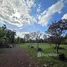  Land for sale in Sam Phrao, Udon Thani, Sam Phrao, Mueang Udon Thani, Udon Thani, Thailand