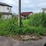  Land for sale in Chiang Mai, Pa Tan, Mueang Chiang Mai, Chiang Mai