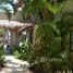 29 Bedroom Hotel for sale in Quintana Roo, Cozumel, Quintana Roo