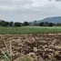  Land for sale in Wang Sai, Nakhon Ratchasima, Wang Sai, Pak Chong