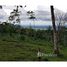  Land for sale in Alajuela, Guatuso, Alajuela