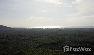 N/A Grundstück zu verkaufen in Sao Phao, Nakhon Si Thammarat 