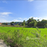  Land for sale in Phra Nakhon Si Ayutthaya, Lat Nga, Sena, Phra Nakhon Si Ayutthaya