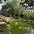  Terreno (Parcela) en venta en Kerobokan, Bali, Kerobokan, Badung