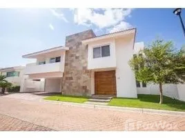 4 Bedroom House for sale in Mexico, Compostela, Nayarit, Mexico