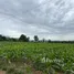  Terreno (Parcela) en venta en Pak Chong, Nakhon Ratchasima, Pak Chong, Pak Chong