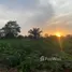  Land for sale in Akwapim South Eastern, Akwapim South, Eastern, Ghana