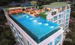 Photos 3 of the Communal Pool at Surin Sands Condo