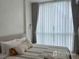 คอนโด สตูดิโอ ให้เช่า ในโครงการ เดอะ เบส ดาวน์ทาวน์, วิชิต, เมืองภูเก็ต