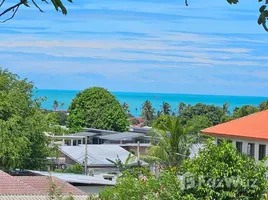 在FazWaz.cn出售的 土地, 波普托, 苏梅岛, 素叻, 泰国