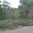  Grundstück zu verkaufen in Sukamulia, Lombok, Sukamulia, Lombok Timur