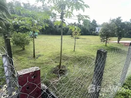 ขายที่ดิน ใน หนองทะเล, กระบี่, หนองทะเล, เมืองกระบี่