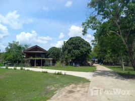 ขายที่ดิน ใน พระธาตุผาแดง, ตาก, พระธาตุผาแดง, แม่สอด, ตาก, ไทย