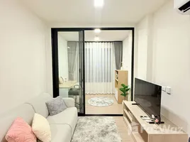 1 Bedroom Condo for rent at Dcondo Reef Phuket, Kathu, Kathu, Phuket, Thailand