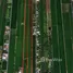  Land for sale in Bueng Bon, Pathum Thani, Bueng Bon, Nong Suea