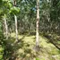  Terreno (Parcela) en venta en Phuket, Thep Krasattri, Thalang, Phuket