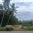 ขายที่ดิน ใน เขาทอง, กระบี่, เขาทอง, เมืองกระบี่, กระบี่